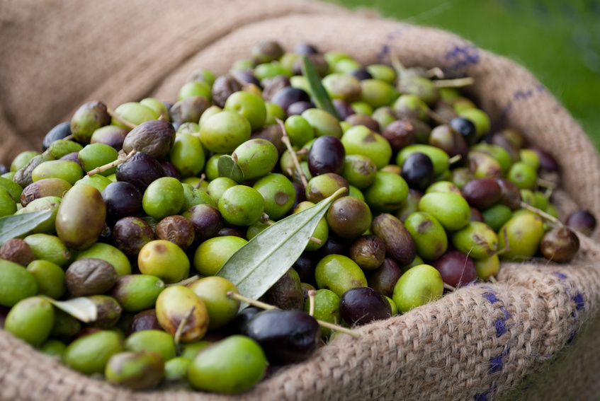 Borges - olive oil coupage