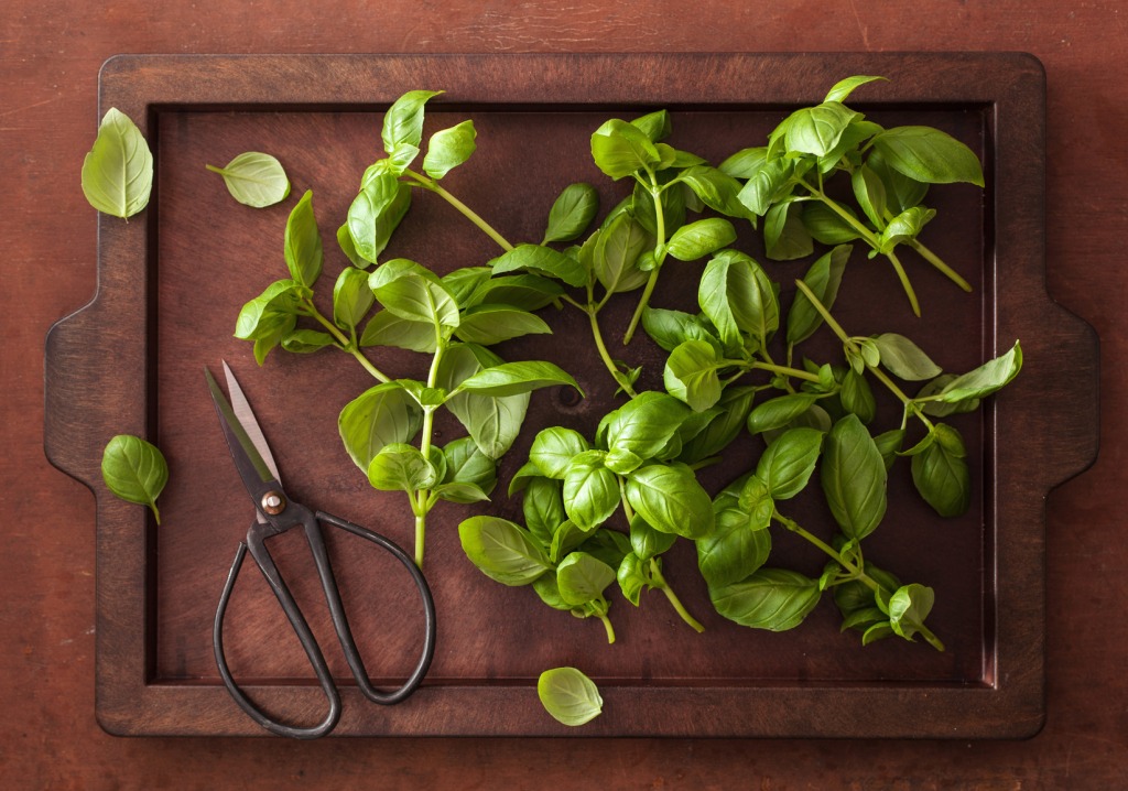 Borges - Aromatic herbs