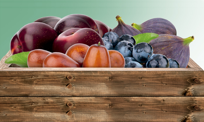 Borges - 5 healthy reasons to eat dried fruits