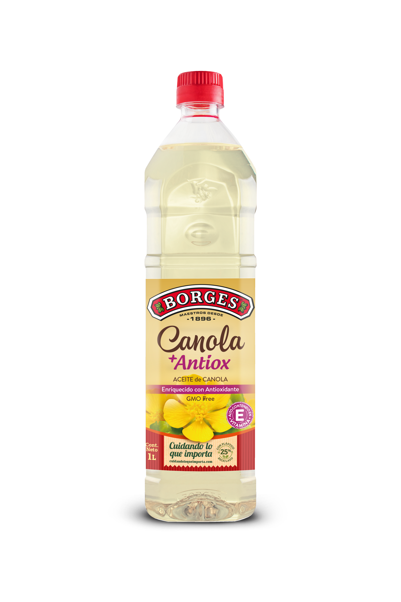 Borges canola antiox